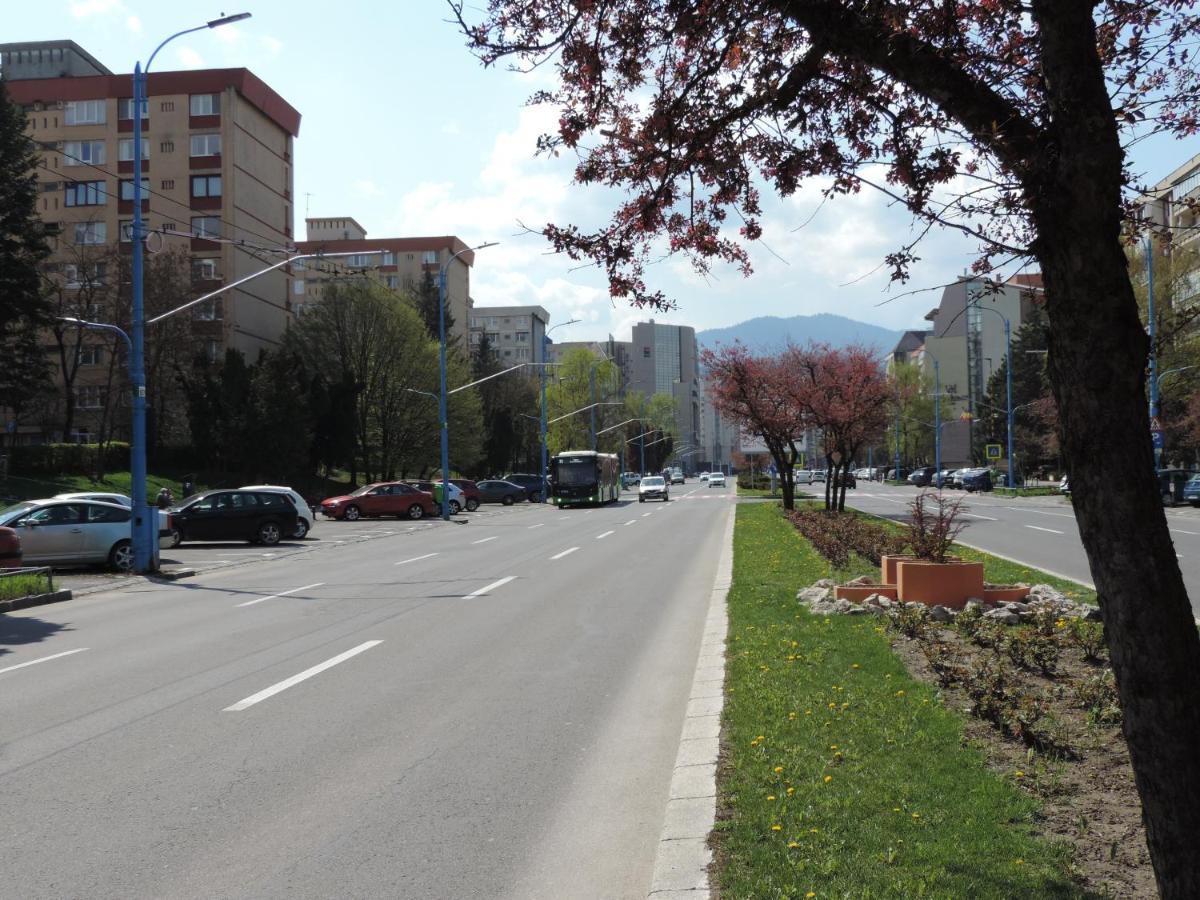 Victoriei Boulevard Private Apartment Brașov Exterior foto